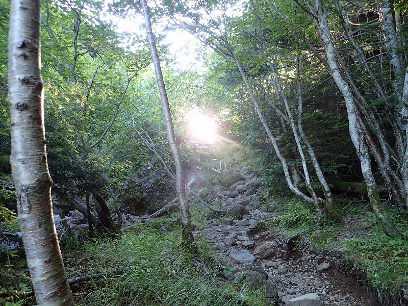 e0284726_90422.jpg