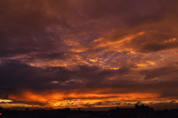 b0175635_19413423.jpg