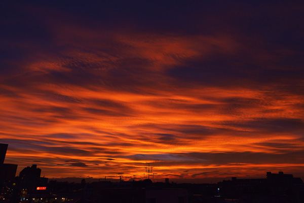 b0175635_19414268.jpg