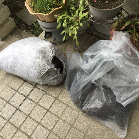 高所命綱付きの雨樋清掃_f0031037_20224555.jpg