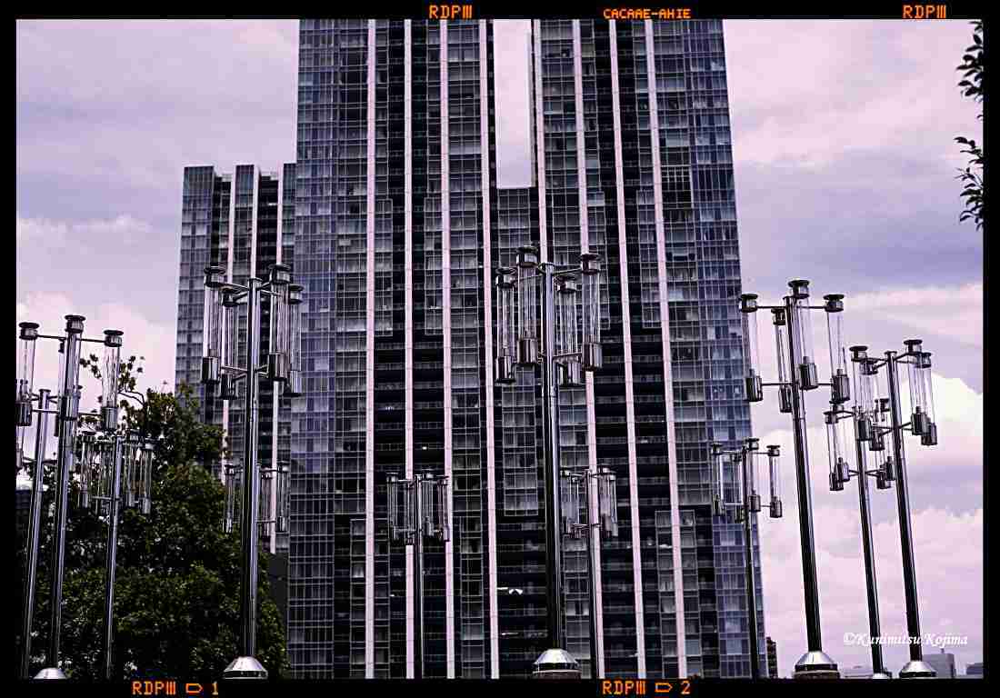 c0236843_14505571.jpg