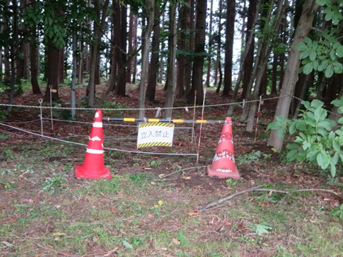 【大人の休日倶楽部パス旅】⑰三内丸山遺跡【3日目】_b0009849_15514652.jpg