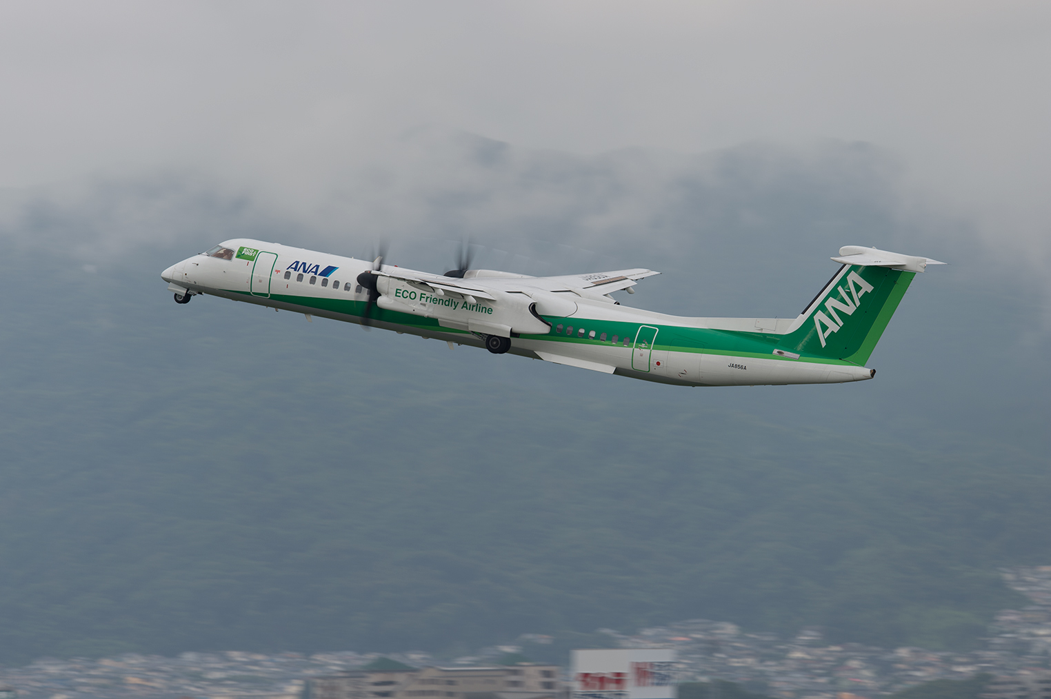 nikon AF-S 600mm f/4E FL ED VR : チーフのEOSデジタルとニコン