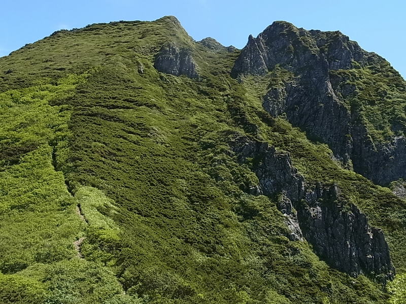 ニセカウシュッペ山 16/07/\'15_e0326953_13392895.jpg