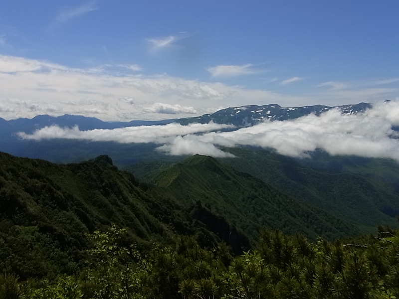 ニセカウシュッペ山 16/07/\'15_e0326953_13394421.jpg