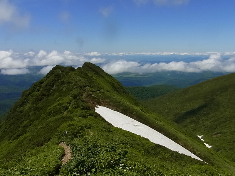 ニセカウシュッペ山 16/07/\'15_e0326953_1341381.jpg