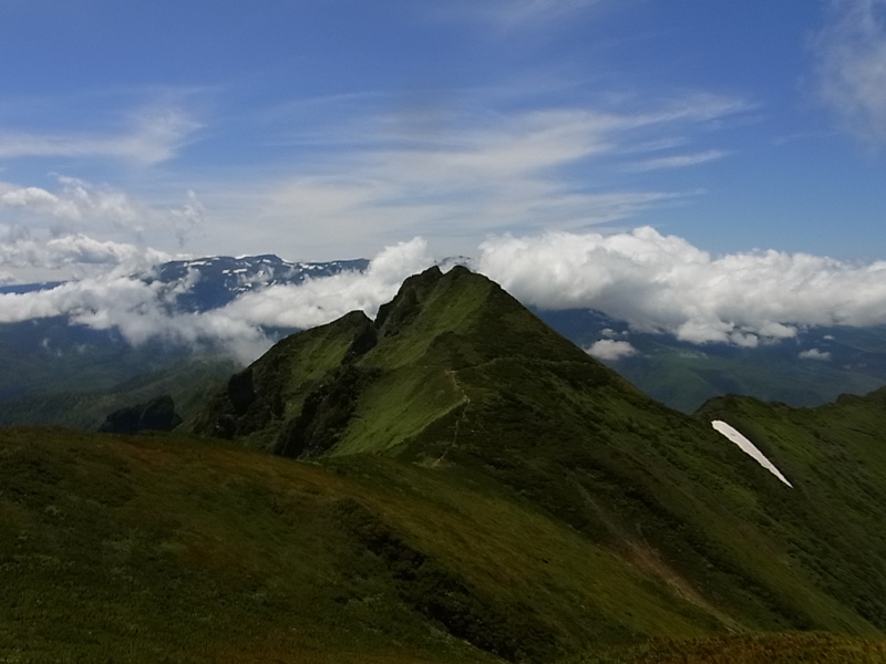 ニセカウシュッペ山 16/07/\'15_e0326953_13495536.jpg