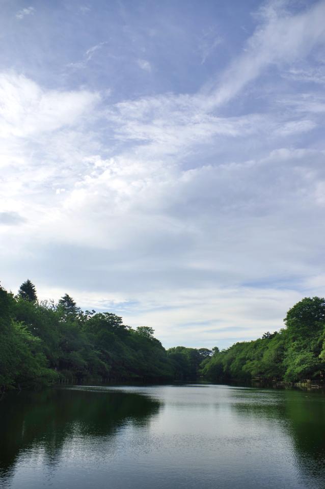 e0142357_1624255.jpg