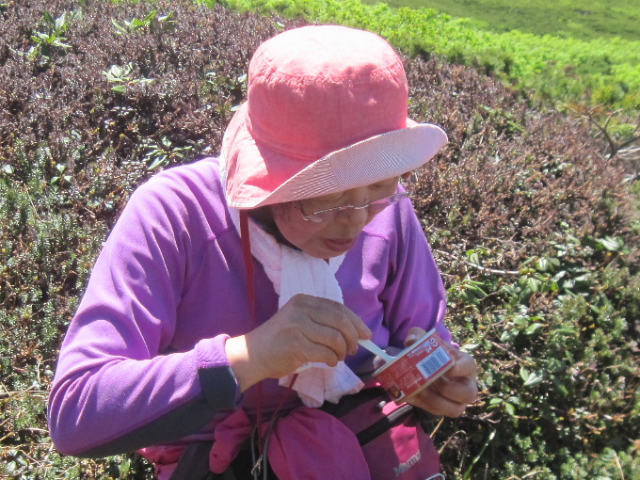 2015.6.25～7.10　北海道の山旅（中編）_c0219866_7344568.jpg