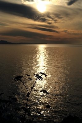 e0213873_22312734.jpg