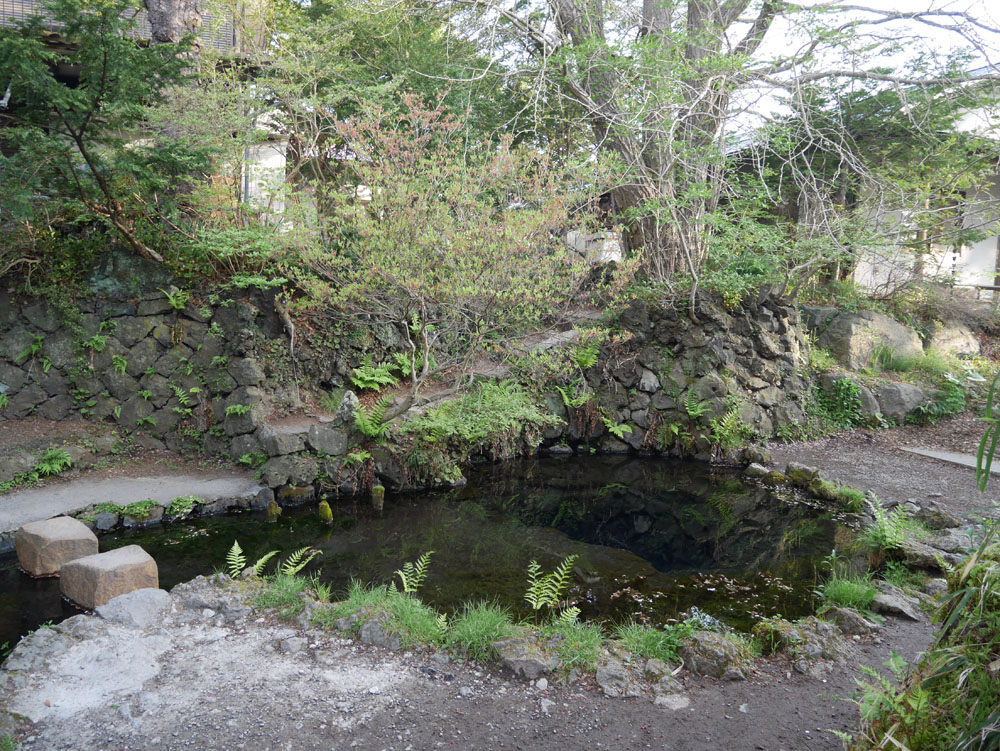 忍野八海の水風景_f0130879_22451642.jpg