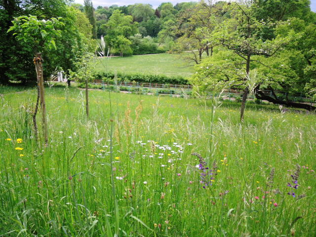 27. 緑あふれるイルム公園とゲーテの山荘_f0100593_21215410.jpg