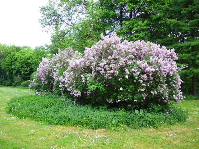 27. 緑あふれるイルム公園とゲーテの山荘_f0100593_21230320.jpg