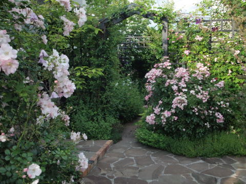 ふふふふふふ♪また来ると言ったら、必ず来るのよぉ～♪･････北海道その９_b0331802_13422777.jpg