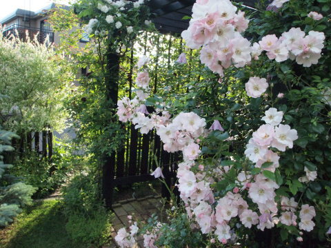 ふふふふふふ♪また来ると言ったら、必ず来るのよぉ～♪･････北海道その９_b0331802_13423099.jpg