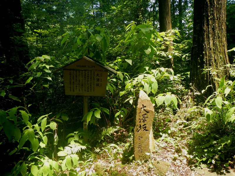 箱根旧東海道を歩きました　その2_d0161702_19221736.jpg