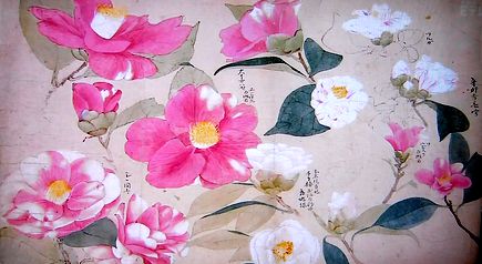 夢の応挙　傑作10選　＠日曜美術館_b0044404_21372971.jpg