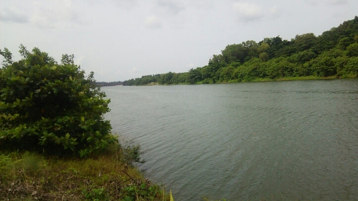 c0212604_20193056.jpg