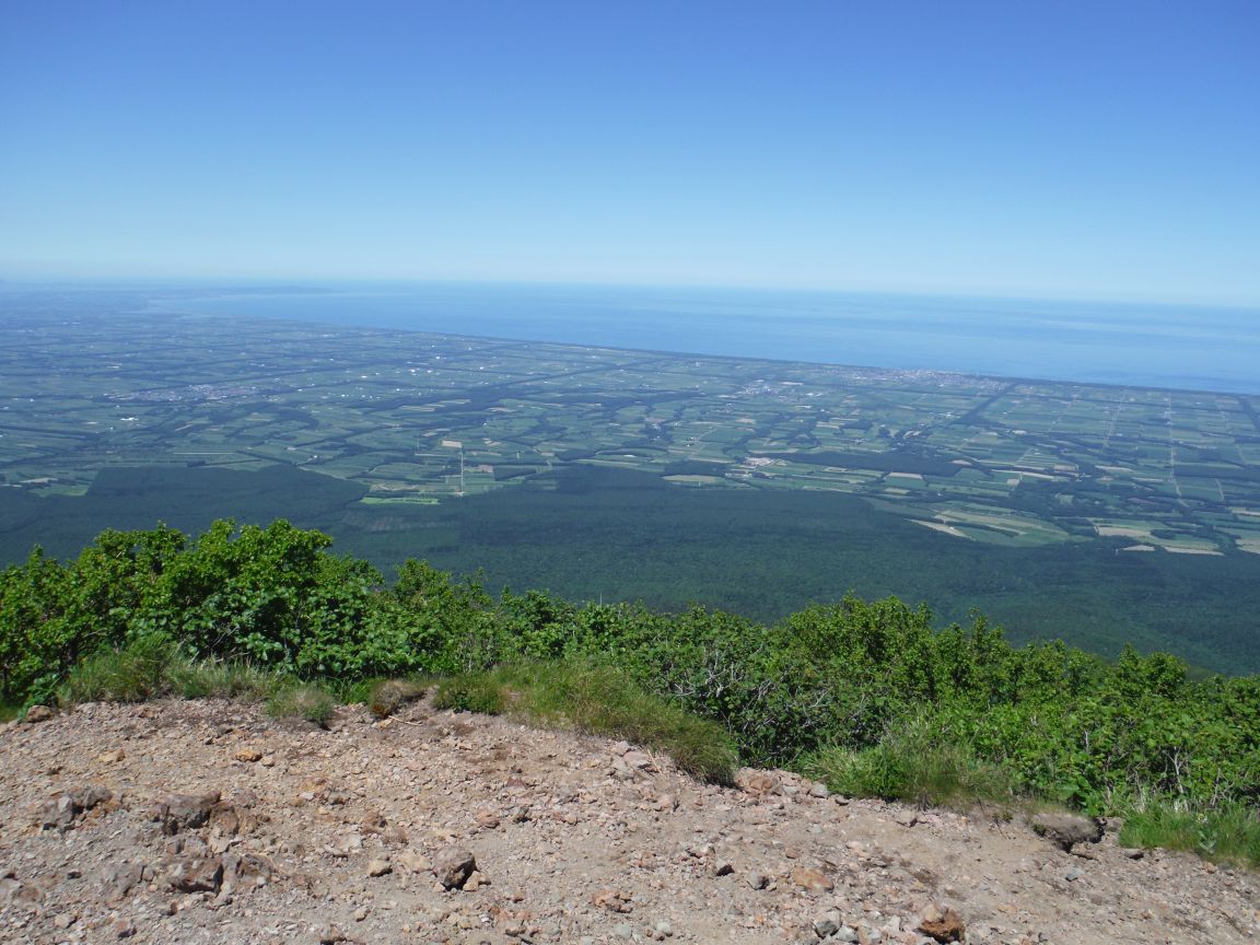 b0172805_17552498.jpg