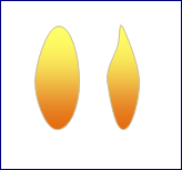 e0350905_12530117.png