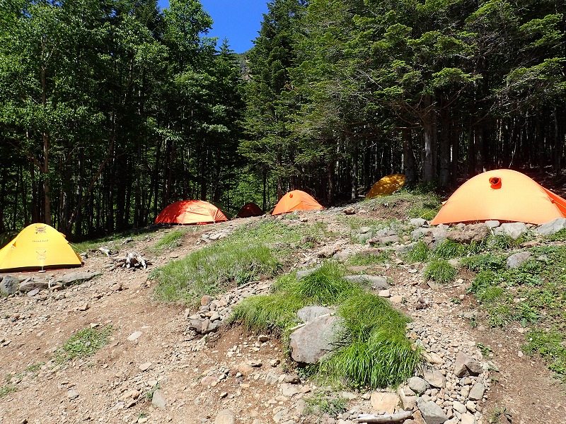e0284726_74824.jpg