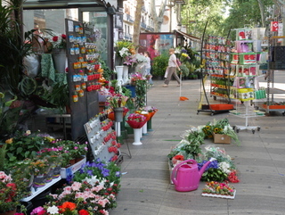 c0039428_22521433.jpg