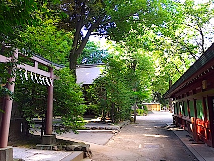 ヤマトタケル ㉗ 大国主と天日槍 〜 大国魂神社_a0300530_1732193.jpg