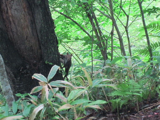 見晴公園　旬なお知らせ_e0145841_16103583.jpg