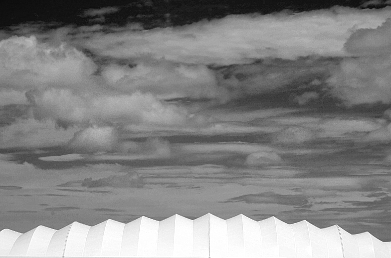 空々しい_b0314043_15460219.jpg