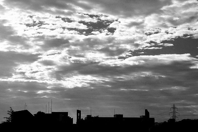 空々しい_b0314043_15462201.jpg