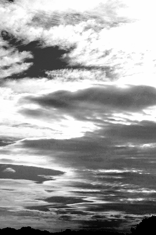 空々しい_b0314043_15463356.jpg