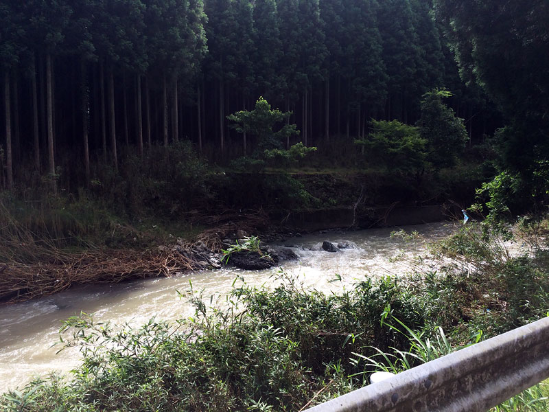 e0149648_21525017.jpg