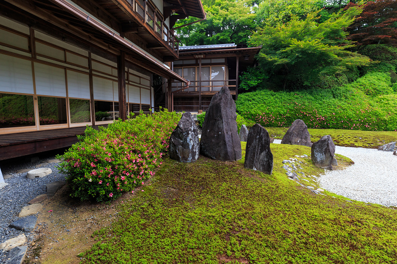 光明院・サツキの頃（東福寺塔頭）_f0155048_004180.jpg