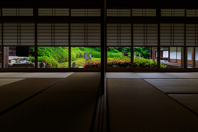 光明院・サツキの頃（東福寺塔頭）_f0155048_23594594.jpg