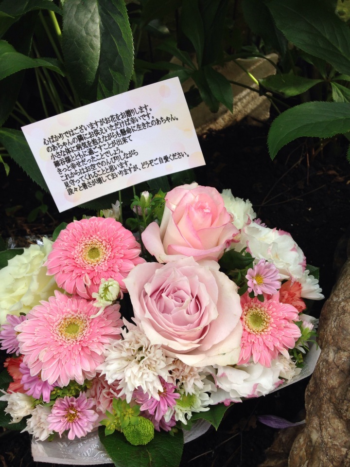 永田先生のこと_e0044855_19312797.jpg