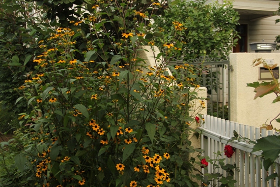 b0214473_6431445.jpg