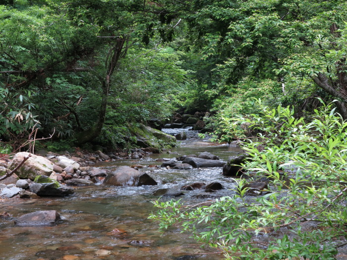 c0197578_1812276.jpg