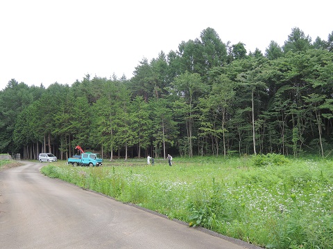 大泉町Y本さんの土地より 1_a0211886_073733.jpg