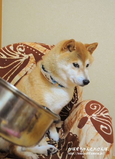 深夜に誰が_a0126590_09551724.jpg
