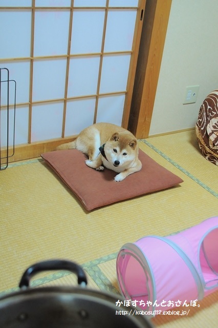 深夜に誰が_a0126590_10122333.jpg