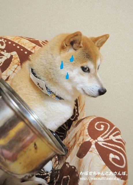 深夜に誰が_a0126590_10291587.jpg