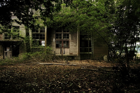 c0072801_7374294.png