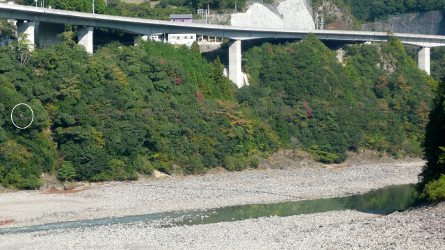 c0072801_81235.jpg