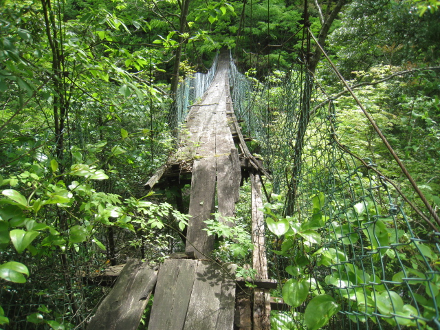 c0072801_81552100.jpg
