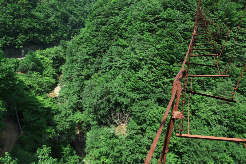 c0072801_8181981.jpg