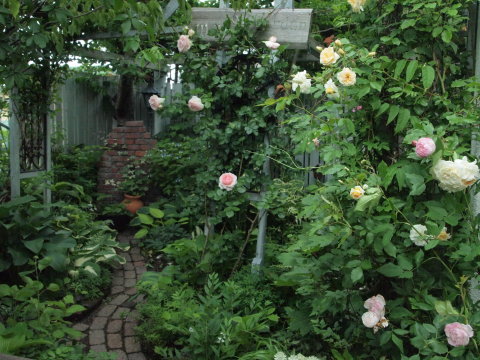 雨にも負けず、食い物の誘惑には負ける･･･････北海道その１０_b0331802_14510898.jpg