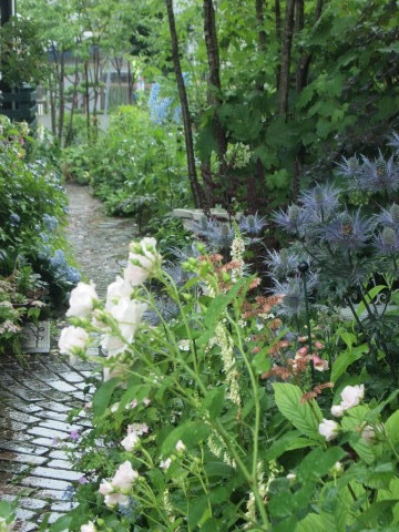 雨にも負けず、食い物の誘惑には負ける･･･････北海道その１０_b0331802_14545726.jpg