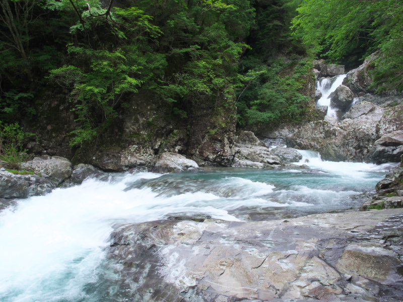 c0043403_12261726.jpg