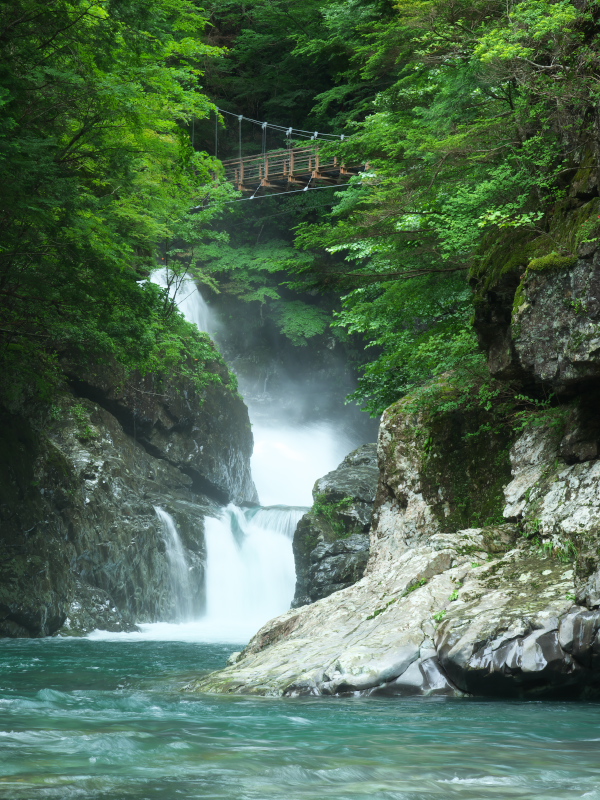c0043403_12283317.jpg