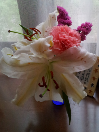 f0250403_16502190.png